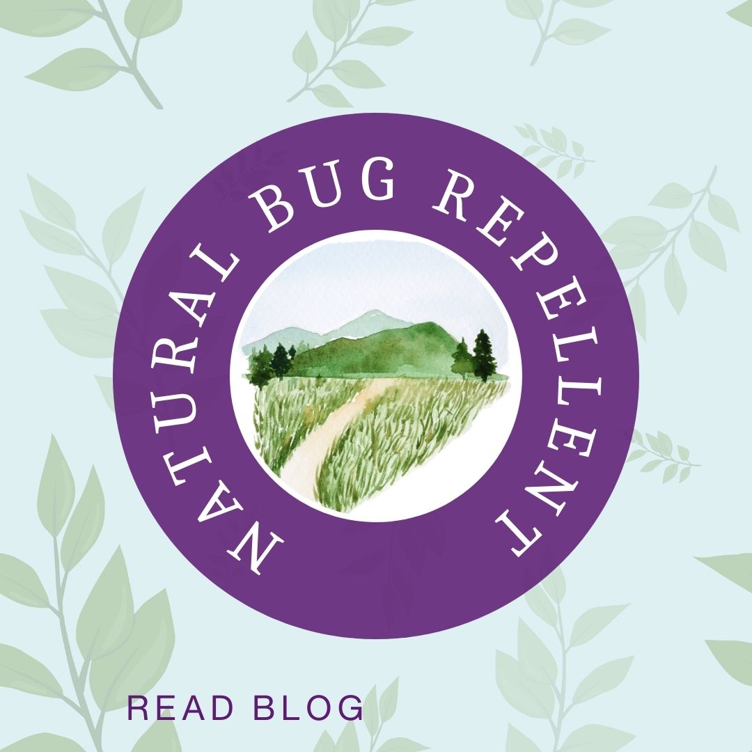 May JJ Box – Bug Away