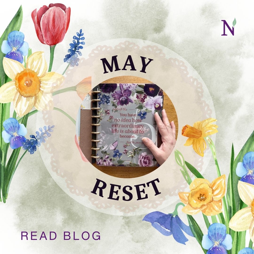 Jane’s Agenda May Deluxe Box + Monthly Planner Reset