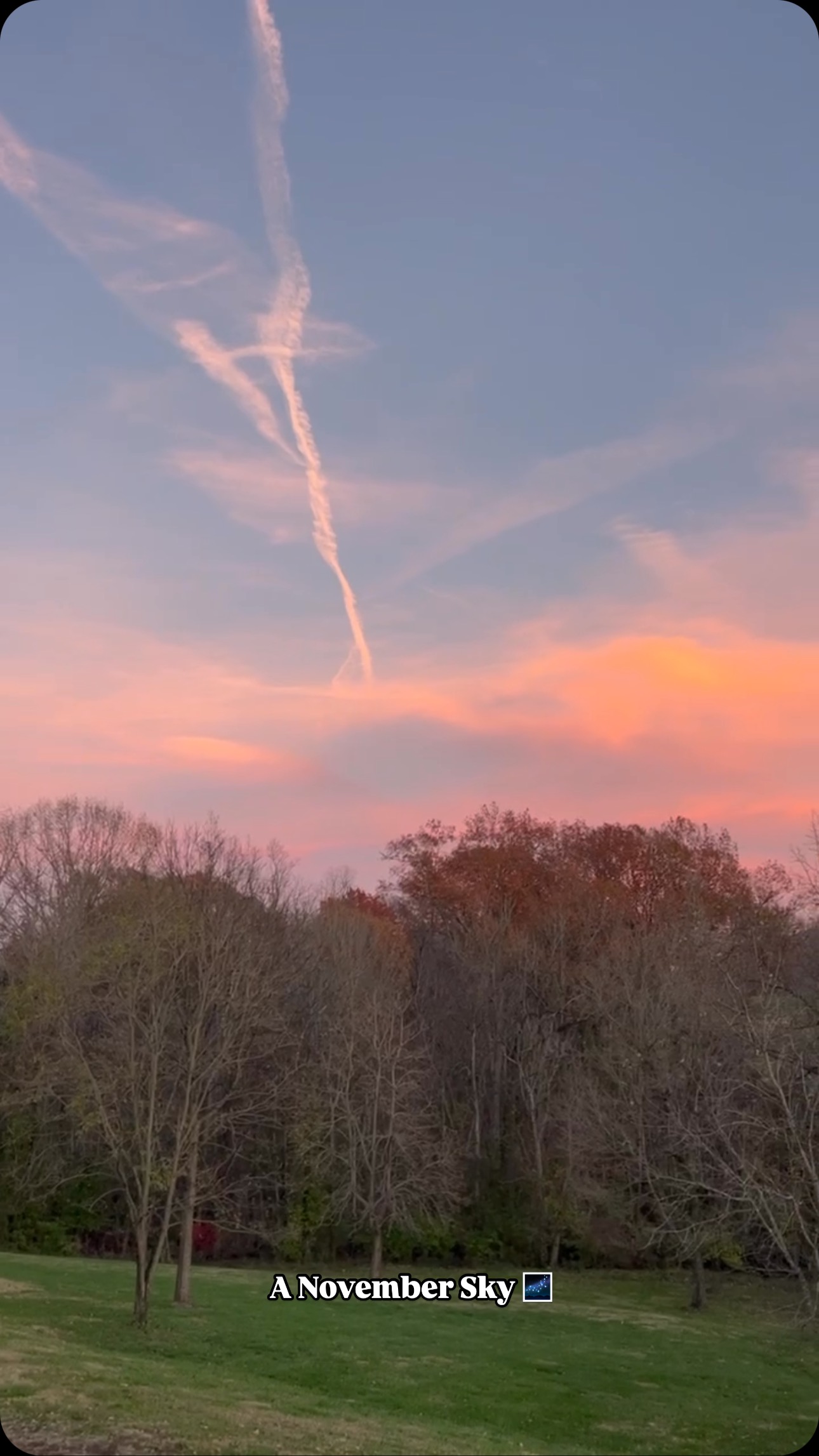 It’s been a busy day full of holiday prep, but this gorgeous moment was a reminder to slow down, take a deep breath, and enjoy the beauty all around. 😍