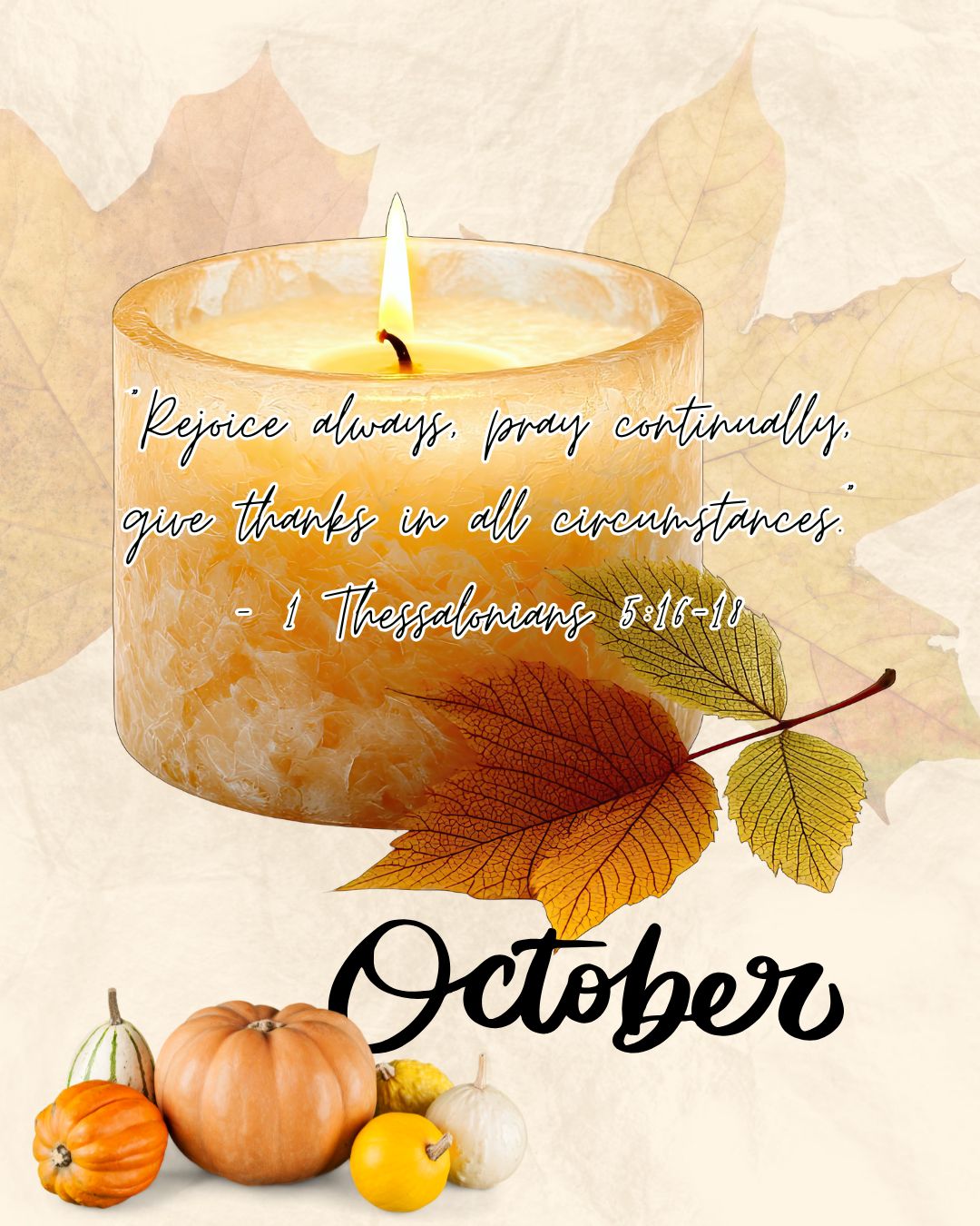 Grateful for the light October has brought — and ready to carry that peace forward. 🤍