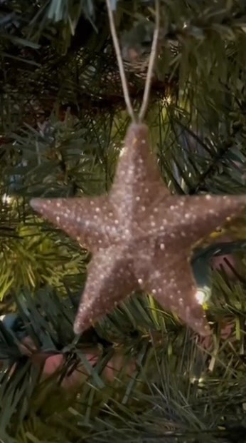 It’s time. ☺️🎄👏🏼

If you’re been following along with my Cruising Through the Holidays playlist, you’re surely into the groove of things and decorating doesn’t seem so overwhelming.

If, however, you would like to get some organization in place this year (finally!) it’s never too late to join in. Check out my YouTube channel to find my playlist all about staying organized and clutter free as you prepare to host and get your home ready for the holidays!

#youtube #natashashealthyliving #jordanessentials #mompreneur #healthyliving