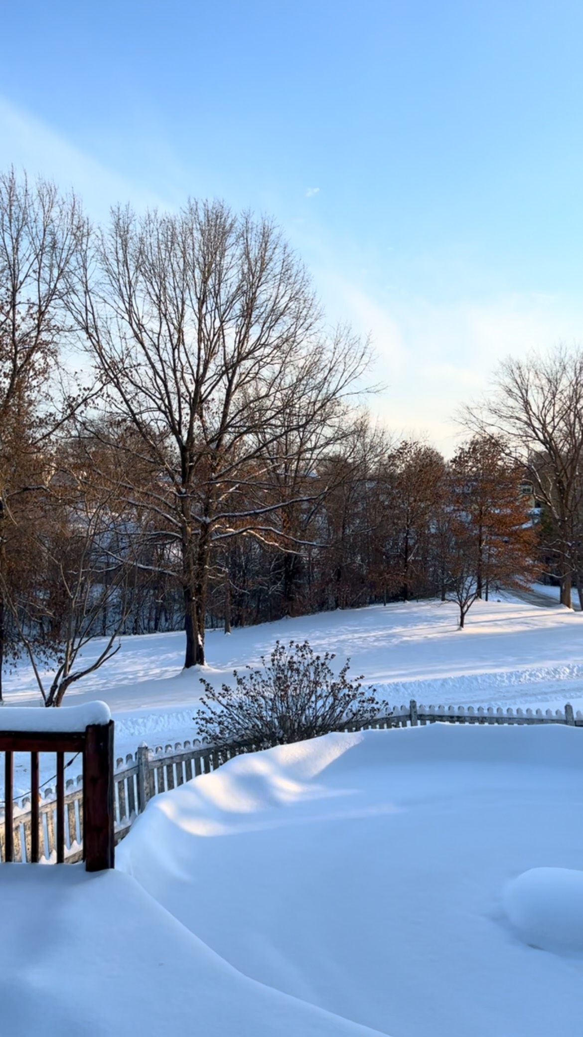 A snowfall that reminds us to embrace rest, move slower, and enjoy the quiet gift of being together.

Grateful for the quiet wonder woven into days like this. ❄️🤍