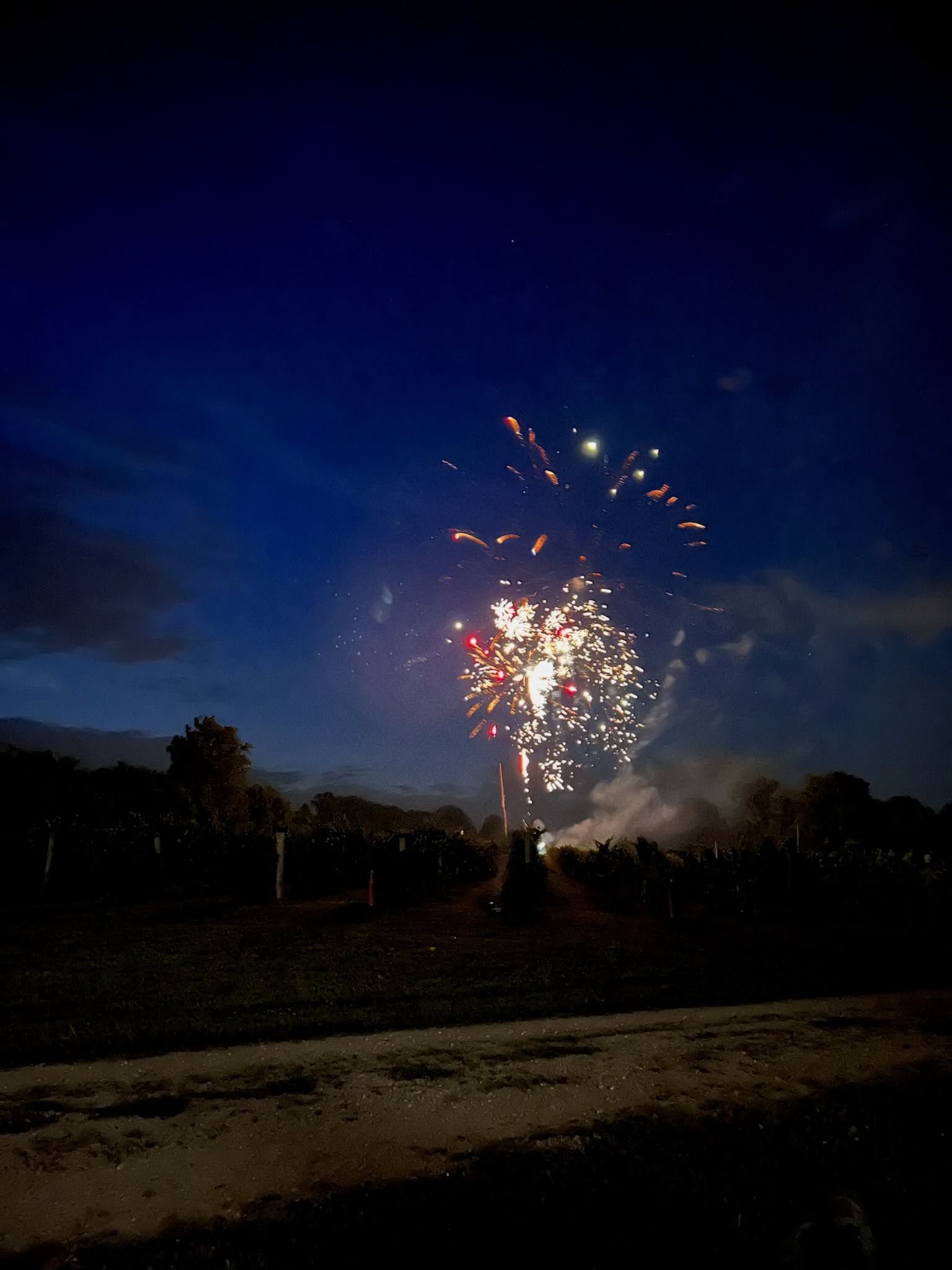 A little late, but Happy 250th Birthday, America! 🇺🇸🎆

Last week, we celebrated one of our favorite annual family traditions, hosted by dear friends in our tiny town. Great friends, gorgeous weather, and fireworks over the vineyard made for another unforgettable Fourth of July.

We hope everyone had a safe, happy, and healthy holiday! ❤️🤍💙